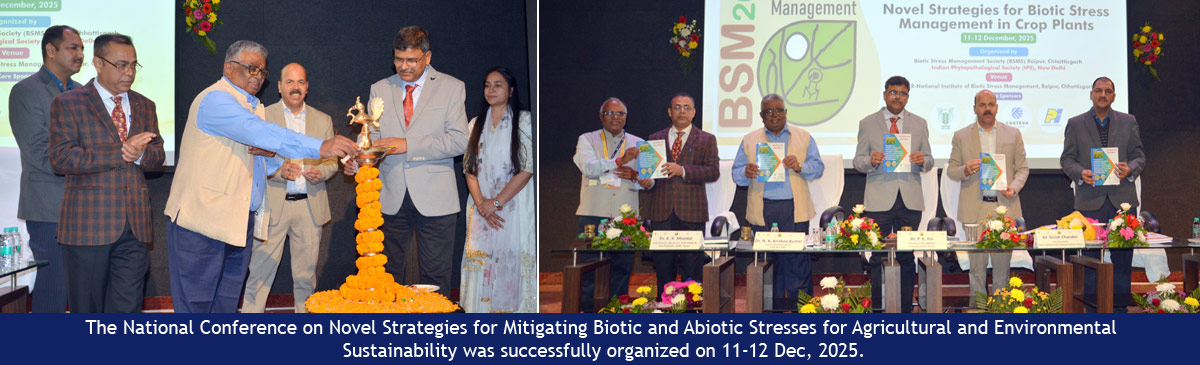 The National Conference on Novel Strategies