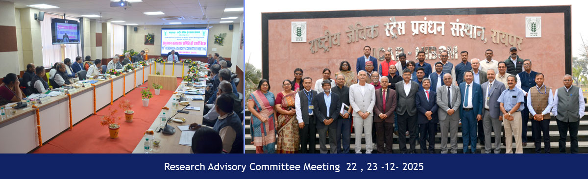 Research Advisory Committee Meeting  22 , 23 -12- 2025